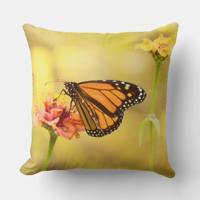Monarch Butterfly on Zinnia Cushion (Front)