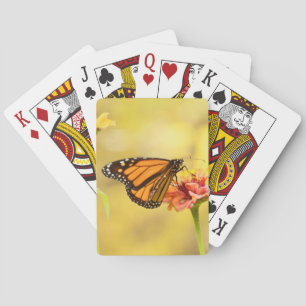 Monarch Butterfly on Zinnia Playing Cards