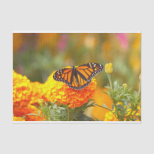 Monarch Butterfly Orange Marigold Photo Tissue Paper