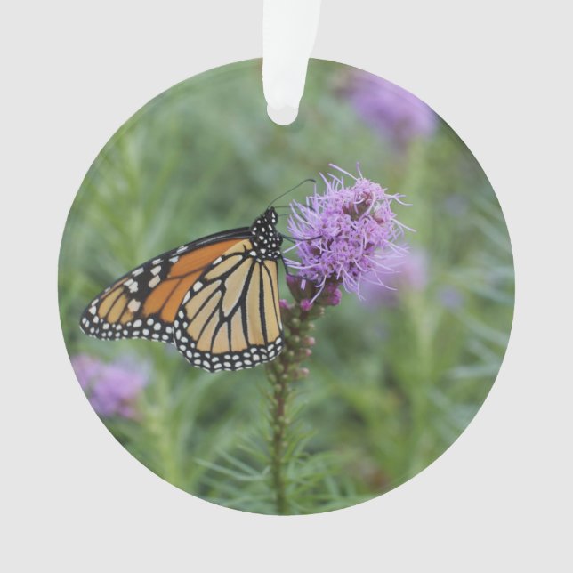 Monarch Butterfly Ornament (Front)