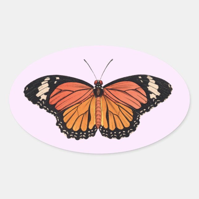 Monarch Butterfly Oval Stickers (Front)