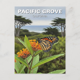 Monarch Butterfly Pacific Grove California Travel Postcard