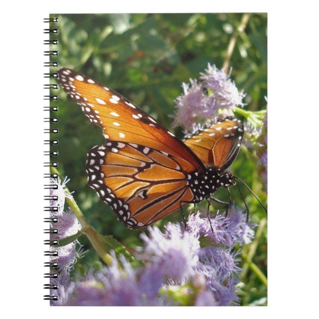 Monarch Butterfly Photo Purple Flower Nature Notebook (Front)