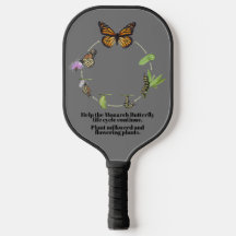 Monarch butterfly