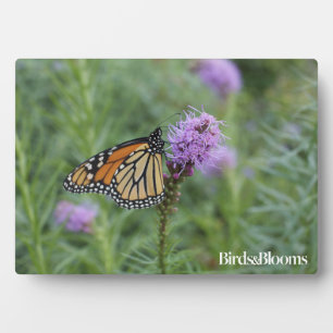 Monarch Butterfly Plaque