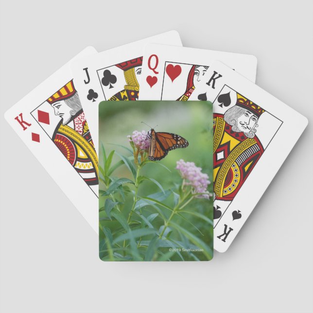 Monarch Butterfly Playing Cards (Back)