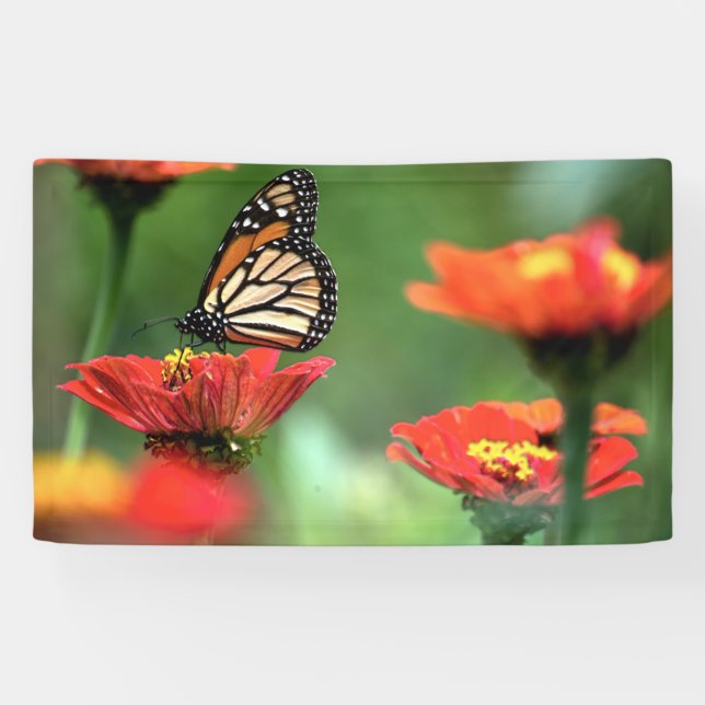Monarch Butterfly Pollination Banner (Horizontal)