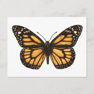 Monarch butterfly postcard