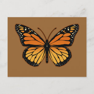 Monarch Butterfly Postcard