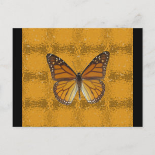 Monarch Butterfly Postcard