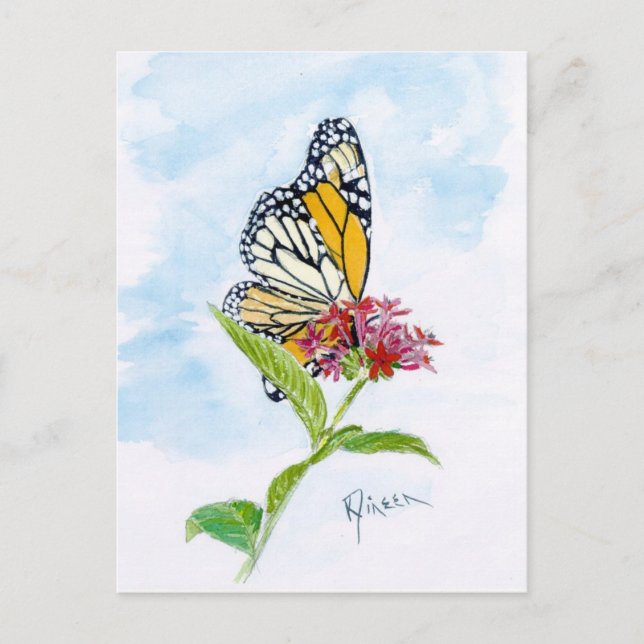 Monarch Butterfly Postcard (Front)