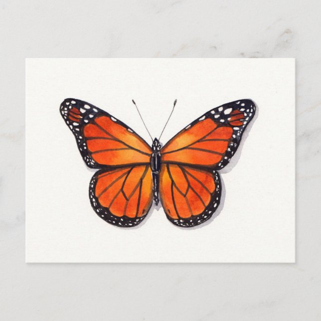 Monarch Butterfly Postcard (Front)