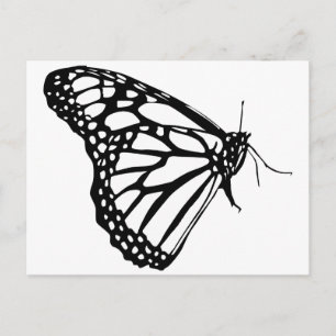 Monarch Butterfly Postcard