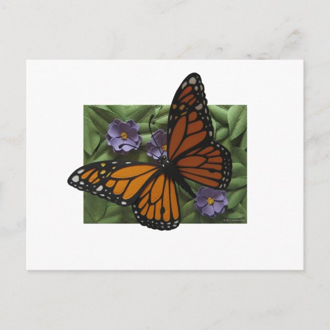 Monarch Butterfly Postcard (Front)