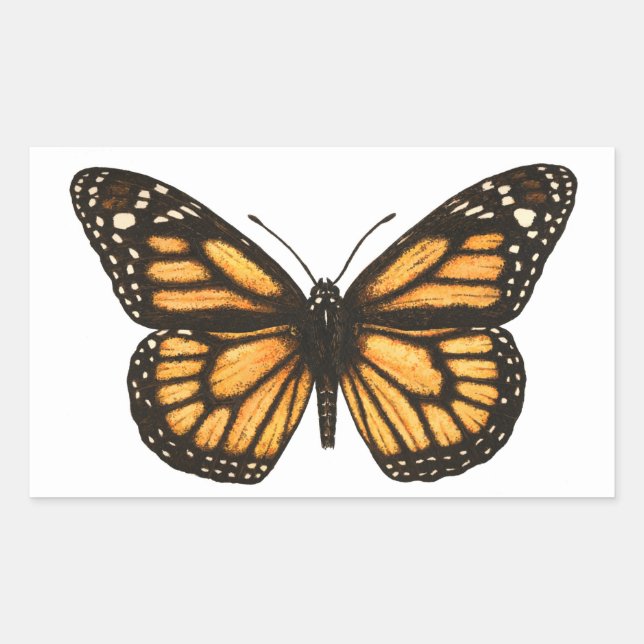Monarch butterfly rectangular sticker (Front)