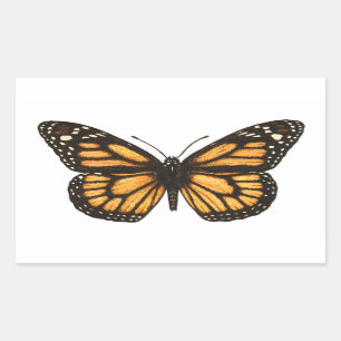 Monarch butterfly rectangular sticker