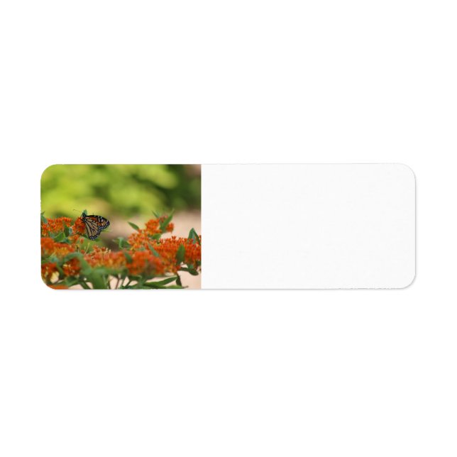 Monarch Butterfly return address labels (Front)
