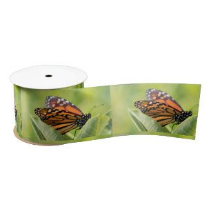 Monarch Butterfly Ribbon Satin Ribbon