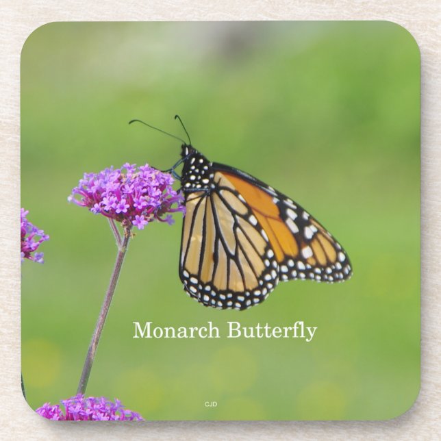 Monarch Butterfly set of 6 plastic coasters (Front)
