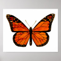 Monarch butterfly Small
