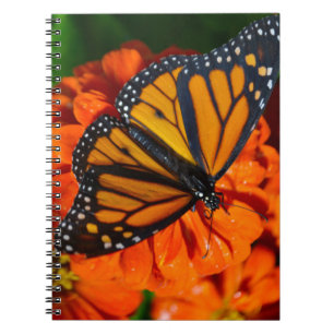 Monarch Butterfly Spiral Notebook