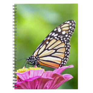 Monarch Butterfly Spiral Notebook