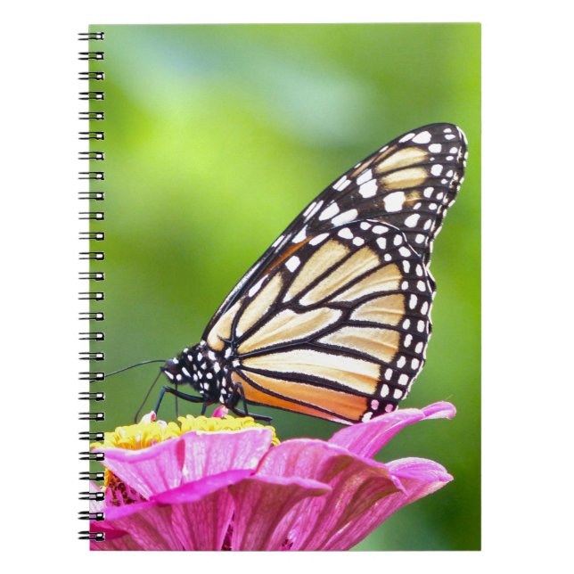 Monarch Butterfly Spiral Notebook (Front)