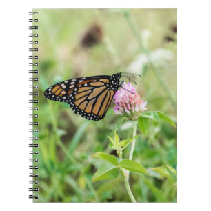 Monarch Butterfly Spiral Notebook