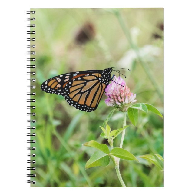 Monarch Butterfly Spiral Notebook (Front)