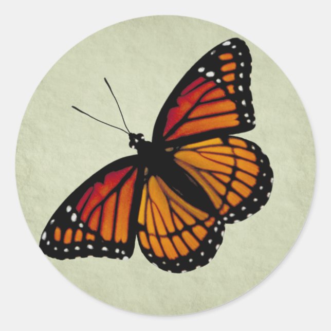 Monarch Butterfly Sticker (Front)