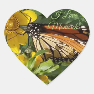MONARCH BUTTERFLY - STICKERS