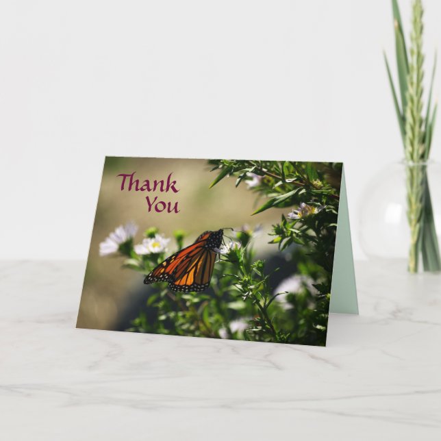 Monarch Butterfly Thank You Card (Front)