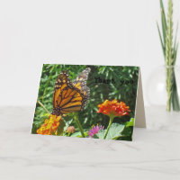 Monarch Butterfly Thank You Given Wings to Fly