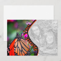 Monarch Butterfly Thank You Photo Card