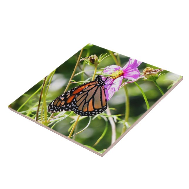 Monarch Butterfly Tile (Side)