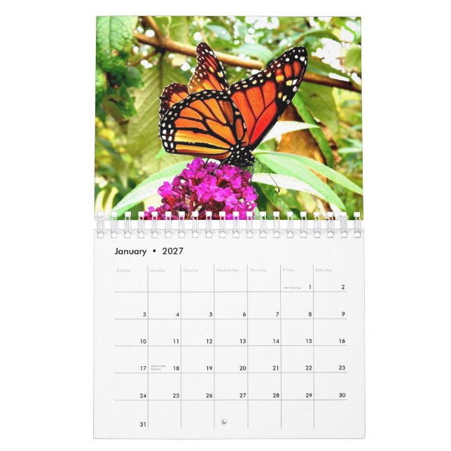 Monarch Butterfly Wall Calendar (Jan 2027)