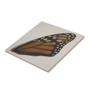 Monarch Butterfly Wing On Paper Tile