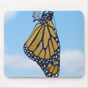 Monarch Butterfly, with Chrysalis Mouse Pad