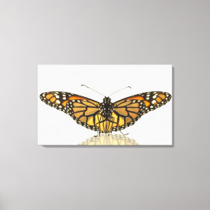 Monarch butterfly with wings spread canvas print