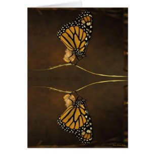 Monarch Card