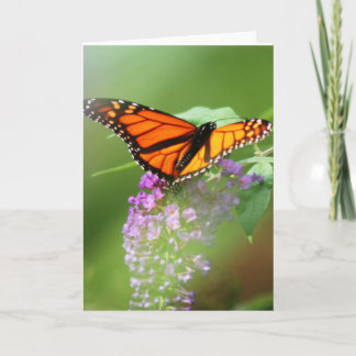 Monarch Card-Customise it! Card