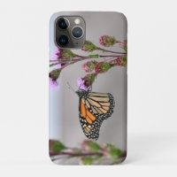 Monarch