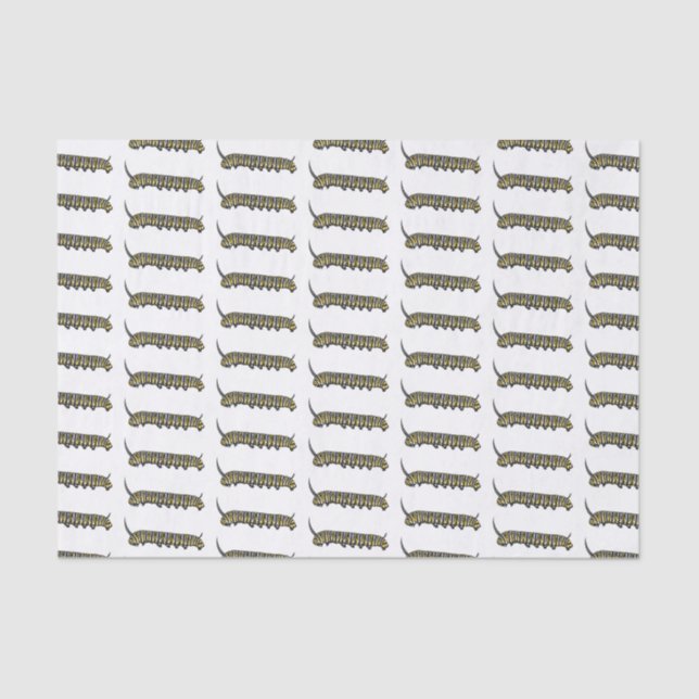 Monarch caterpillar cartoon illustration  tissue paper (Front)