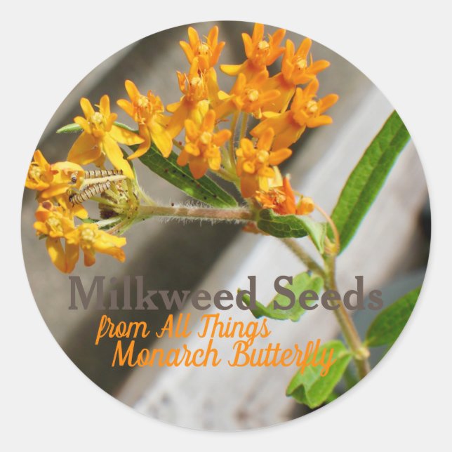 Monarch caterpillar classic round sticker (Front)