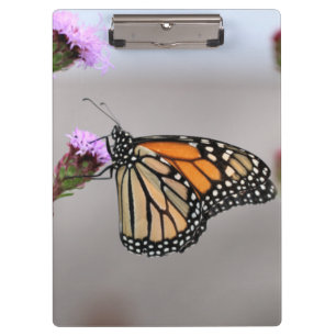 Monarch  clipboard
