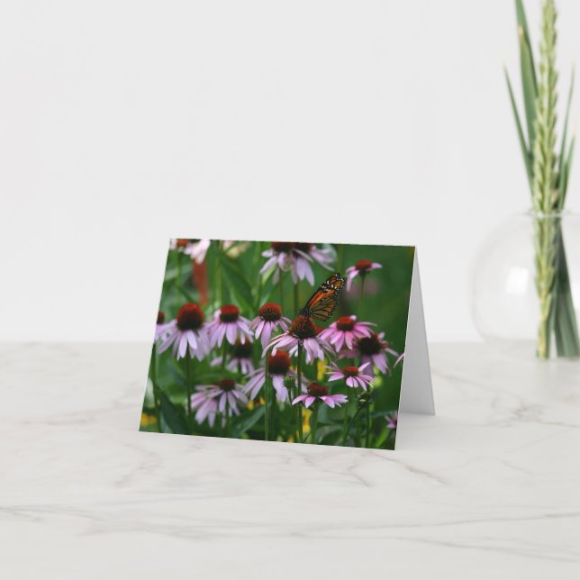 Monarch & Cone flowers  Thank You Card (Front)