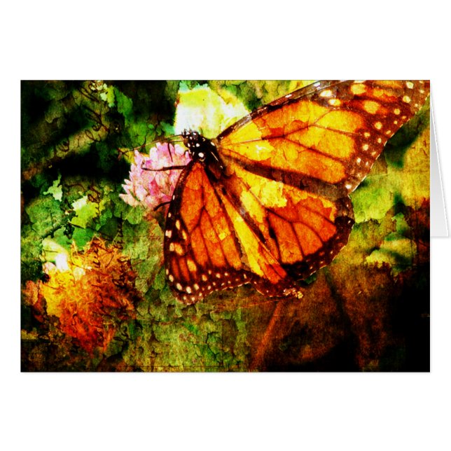 Monarch Grunge (Front Horizontal)