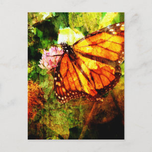 Monarch Grunge Postcard