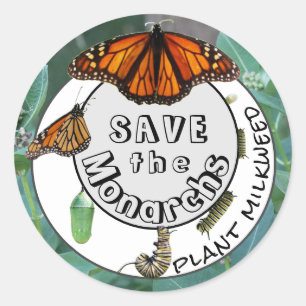 Monarch Life Cycle Plant Milkweed Classic Round Sticker