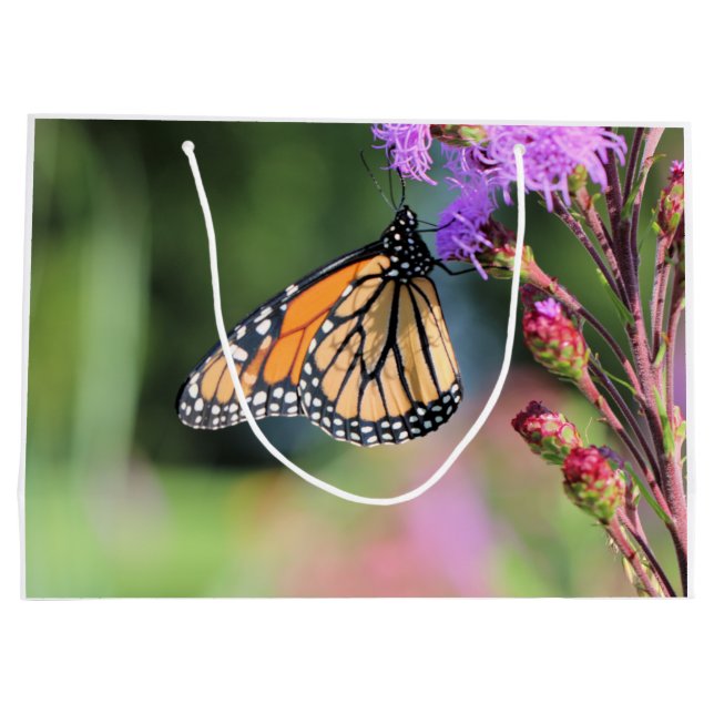 Monarch lunch bag (Back)
